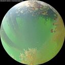 ./images/calvert/underwater/20260809/underwater20260809_100501M.jpg