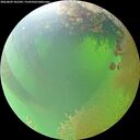./images/calvert/underwater/20260809/underwater20260809_102502M.jpg