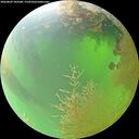 ./images/calvert/underwater/20260809/underwater20260809_103501M.jpg