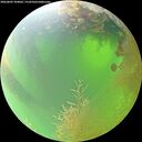 ./images/calvert/underwater/20260809/underwater20260809_104002M.jpg