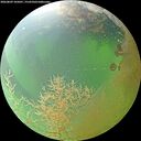 ./images/calvert/underwater/20260809/underwater20260809_105001M.jpg
