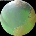 ./images/calvert/underwater/20260809/underwater20260809_112501M.jpg
