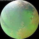./images/calvert/underwater/20260809/underwater20260809_115502M.jpg