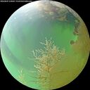 ./images/calvert/underwater/20260809/underwater20260809_124001M.jpg