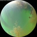 ./images/calvert/underwater/20260809/underwater20260809_125501M.jpg