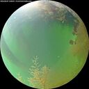 ./images/calvert/underwater/20260809/underwater20260809_130001M.jpg