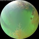 ./images/calvert/underwater/20260809/underwater20260809_131001M.jpg