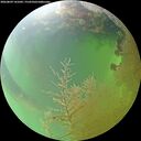 ./images/calvert/underwater/20260809/underwater20260809_141002M.jpg