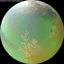 ./images/calvert/underwater/20260809/underwater20260809_154501M.jpg