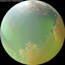 ./images/calvert/underwater/20260809/underwater20260809_161501M.jpg