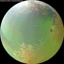 ./images/calvert/underwater/20260809/underwater20260809_162001M.jpg
