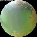 ./images/calvert/underwater/20260809/underwater20260809_163001M.jpg