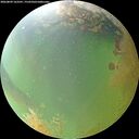 ./images/calvert/underwater/20260809/underwater20260809_163501M.jpg