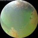 ./images/calvert/underwater/20260809/underwater20260809_164002M.jpg