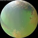 ./images/calvert/underwater/20260809/underwater20260809_165001M.jpg