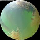 ./images/calvert/underwater/20260809/underwater20260809_170001M.jpg