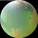 ./images/calvert/underwater/20260809/underwater20260809_170501M.jpg
