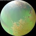./images/calvert/underwater/20260809/underwater20260809_171001M.jpg