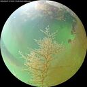 ./images/calvert/underwater/20260809/underwater20260809_171501M.jpg