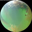 ./images/calvert/underwater/20260809/underwater20260809_172501M.jpg