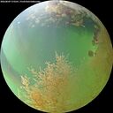 ./images/calvert/underwater/20260809/underwater20260809_173501M.jpg