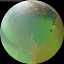 ./images/calvert/underwater/20260809/underwater20260809_181001M.jpg
