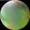 ./images/calvert/underwater/20260809/underwater20260809_182502M.jpg