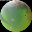 ./images/calvert/underwater/20260809/underwater20260809_184001M.jpg