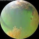 ./images/calvert/underwater/20260809/underwater20260809_185501M.jpg