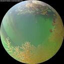 ./images/calvert/underwater/20260809/underwater20260809_200001M.jpg