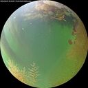 ./images/calvert/underwater/20260809/underwater20260809_201001M.jpg