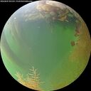 ./images/calvert/underwater/20260809/underwater20260809_201501M.jpg