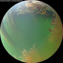 ./images/calvert/underwater/20260809/underwater20260809_203001M.jpg