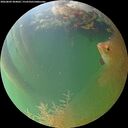 ./images/calvert/underwater/20260809/underwater20260809_204002M.jpg