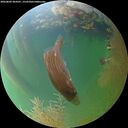 ./images/calvert/underwater/20260809/underwater20260809_204501M.jpg