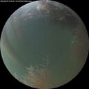./images/calvert/underwater/20260809/underwater20260809_212501M.jpg