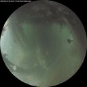 ./images/calvert/underwater/20260810/underwater20260810_061001M.jpg