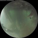 ./images/calvert/underwater/20260810/underwater20260810_061501M.jpg