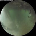 ./images/calvert/underwater/20260810/underwater20260810_062001M.jpg