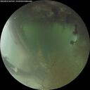 ./images/calvert/underwater/20260810/underwater20260810_062501M.jpg