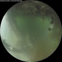 ./images/calvert/underwater/20260810/underwater20260810_063001M.jpg