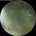 ./images/calvert/underwater/20260810/underwater20260810_063501M.jpg