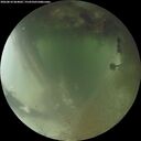 ./images/calvert/underwater/20260810/underwater20260810_064002M.jpg