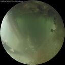 ./images/calvert/underwater/20260810/underwater20260810_064502M.jpg