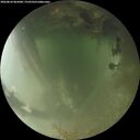 ./images/calvert/underwater/20260810/underwater20260810_065001M.jpg