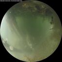 ./images/calvert/underwater/20260810/underwater20260810_065501M.jpg