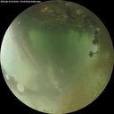 ./images/calvert/underwater/20260810/underwater20260810_070501M.jpg
