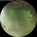 ./images/calvert/underwater/20260810/underwater20260810_071001M.jpg