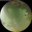 ./images/calvert/underwater/20260810/underwater20260810_071501M.jpg