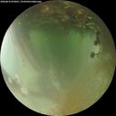 ./images/calvert/underwater/20260810/underwater20260810_072001M.jpg